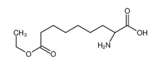 Изображение (2S)-2-Amino-9-ethoxy-9-oxononanoic acid
