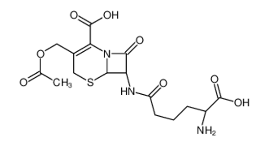 Picture of (6R,7R)-3-(Acetoxymethyl)-7-{[(5R)-5-amino-5-carboxypentanoyl]ami no}-8-oxo-5-thia-1-azabicyclo[4.2.0]oct-2-ene-2-carboxylic acid