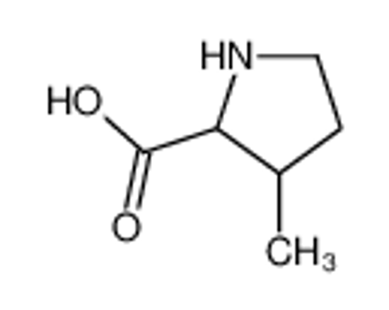 Picture of 3-Methylproline