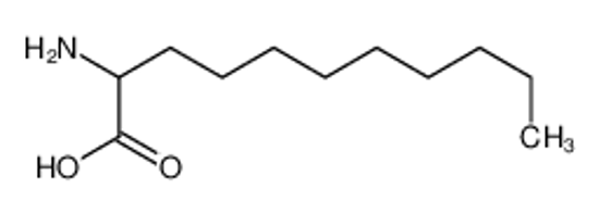 Picture of 2-aminoundecanoic acid