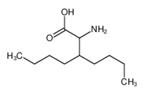 Picture of 2-amino-3-butylheptanoic acid