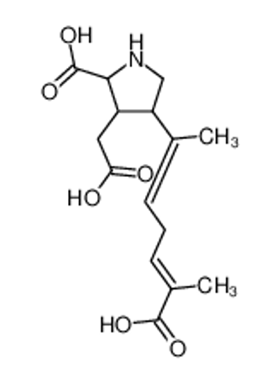 Imagem de (2S,3S,4S)-4-[(2E,5E)-6-carboxyhepta-2,5-dien-2-yl]-3-(carboxymethyl)pyrrolidine-2-carboxylic acid