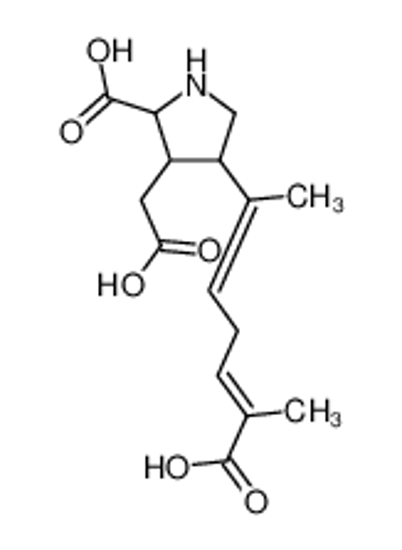 Picture of (2S,3S,4S)-4-[(2E,5E)-6-carboxyhepta-2,5-dien-2-yl]-3-(carboxymethyl)pyrrolidine-2-carboxylic acid