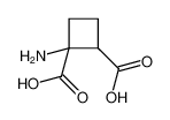 Изображение 1-aminocyclobutane-1,2-dicarboxylic acid