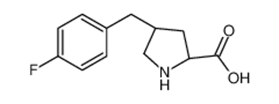 Изображение (2S,4R)-4-(4-Fluorobenzyl)pyrrolidine-2-carboxylic acid