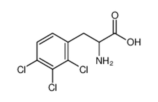 Imagem de 2-amino-3-(2,3,4-trichlorophenyl)propanoic acid