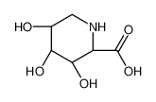 Picture of (2S,3R,4R,5R)-3,4,5-trihydroxypiperidine-2-carboxylic acid