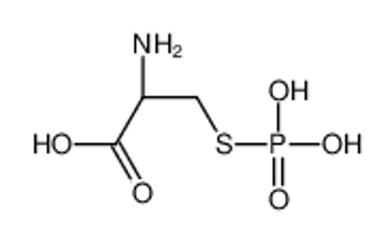 Изображение S-phospho-L-cysteine