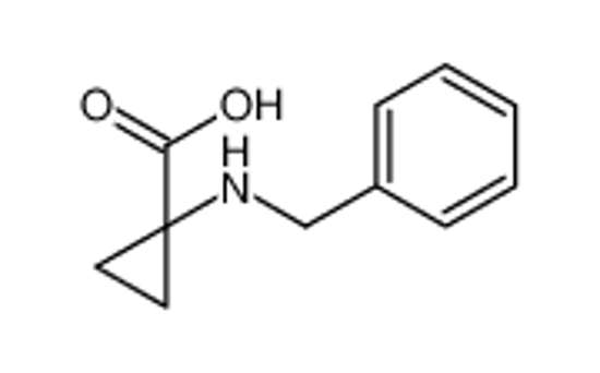 Picture of 1-(benzylamino)cyclopropane-1-carboxylic acid