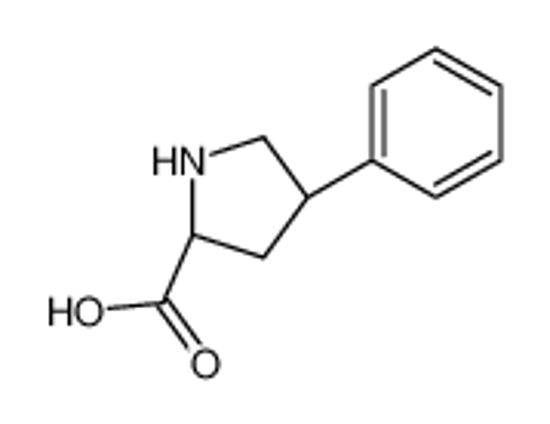 Picture of (2S)-4-phenylpyrrolidine-2-carboxylic acid