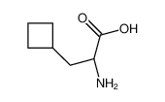 Picture of (2S)-2-amino-3-cyclobutylpropanoic acid