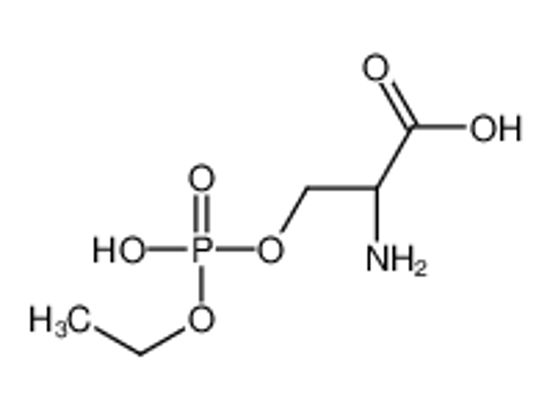 Picture of (2S)-2-amino-3-[ethoxy(hydroxy)phosphoryl]oxypropanoic acid
