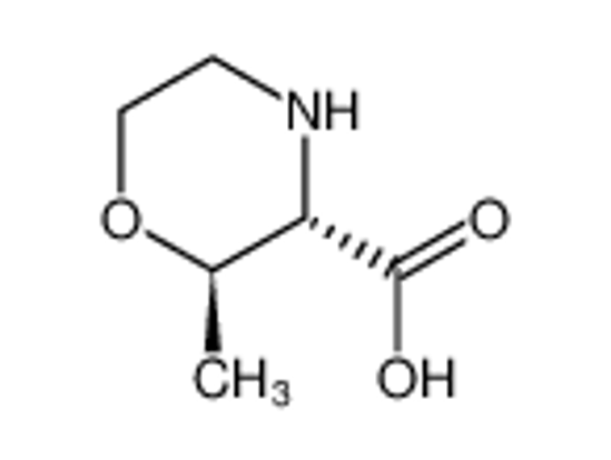 Picture of (2R,3S)-2-methylmorpholine-3-carboxylic acid
