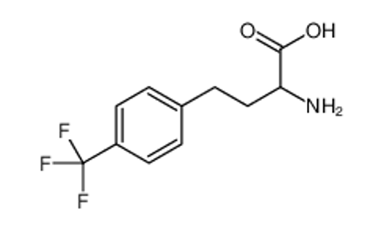 Picture of 2-amino-4-[4-(trifluoromethyl)phenyl]butanoic acid
