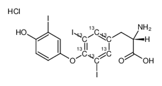 Picture of L-Liothyronine13C6 hydrochloride