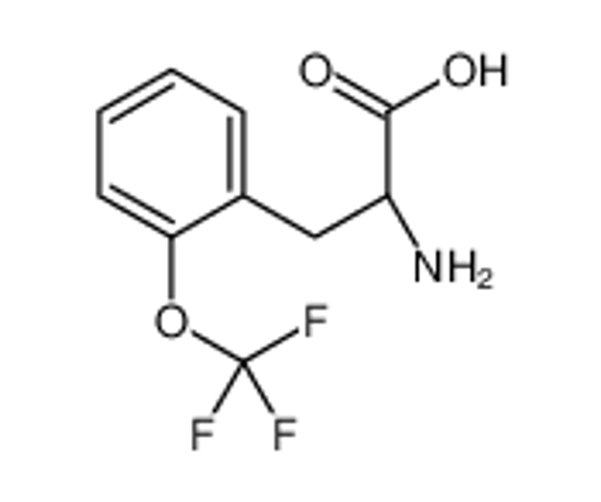 Picture of (2R)-2-amino-3-[2-(trifluoromethoxy)phenyl]propanoic acid