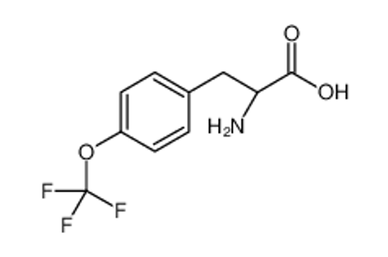 Picture of (2R)-2-amino-3-[4-(trifluoromethoxy)phenyl]propanoic acid