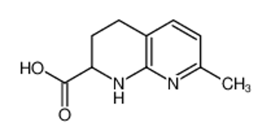 Picture of 7-methyl-1,2,3,4-tetrahydro-1,8-naphthyridine-2-carboxylic acid