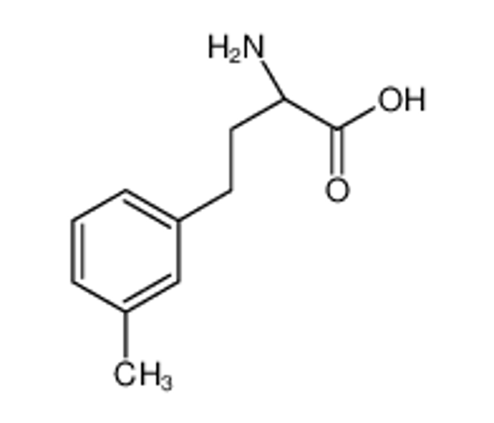 Picture of (2S)-2-amino-4-(3-methylphenyl)butanoic acid