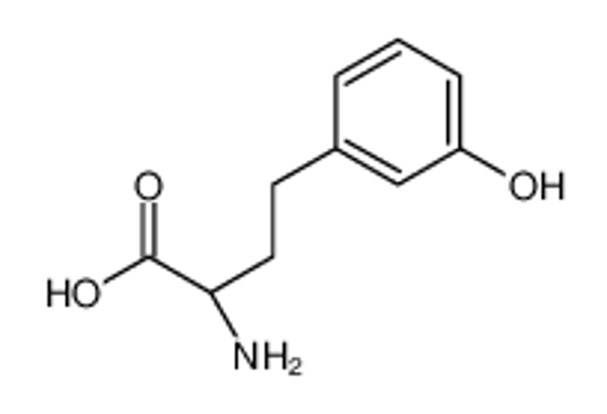 Picture of (2S)-2-amino-4-(3-hydroxyphenyl)butanoic acid