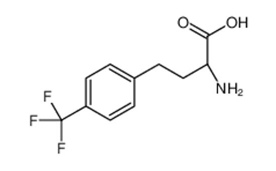 Picture of (2S)-2-amino-4-[4-(trifluoromethyl)phenyl]butanoic acid