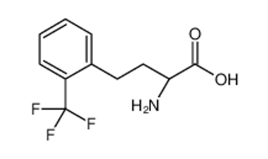 Picture of (2S)-2-amino-4-[2-(trifluoromethyl)phenyl]butanoic acid