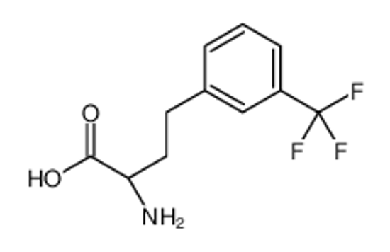 Picture of (2S)-2-amino-4-[3-(trifluoromethyl)phenyl]butanoic acid