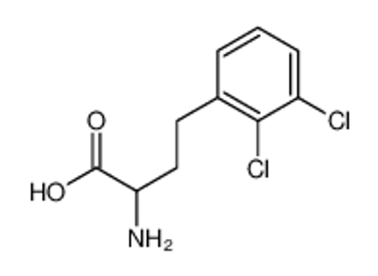 Picture of 2-amino-4-(2,3-dichlorophenyl)butanoic acid