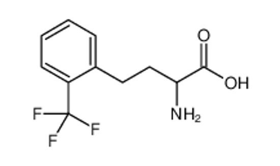 Picture of 2-amino-4-[2-(trifluoromethyl)phenyl]butanoic acid