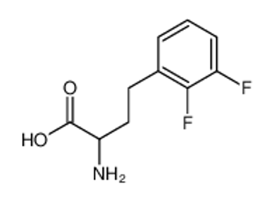 Picture of 2-amino-4-(2,3-difluorophenyl)butanoic acid