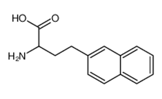 Picture of 2-amino-4-naphthalen-2-ylbutanoic acid