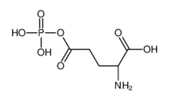Picture of (2S)-2-amino-5-oxo-5-phosphonooxypentanoic acid