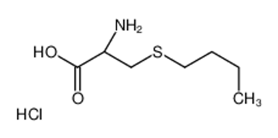 Picture of (2R)-2-amino-3-butylsulfanylpropanoic acid,hydrochloride