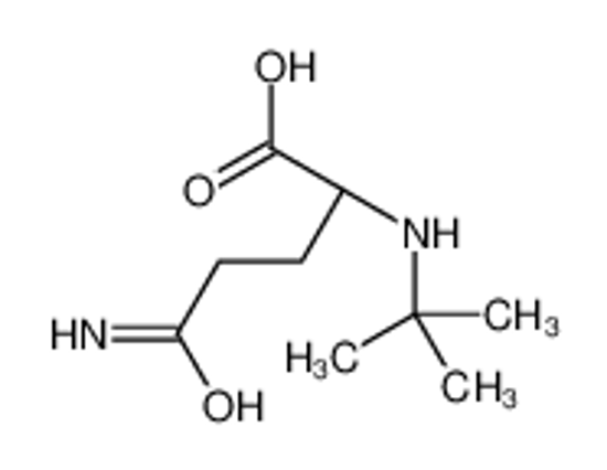 Picture of (2S)-5-amino-2-(tert-butylamino)-5-oxopentanoic acid