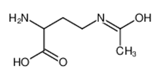 Picture of 4-acetamido-2-aminobutanoic acid
