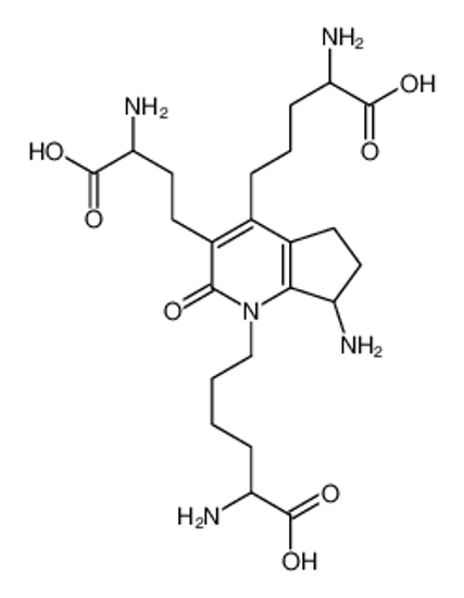 Picture of 2-amino-6-[7-amino-4-(4-amino-4-carboxybutyl)-3-(3-amino-3-carboxypropyl)-2-oxo-6,7-dihydro-5H-cyclopenta[b]pyridin-1-yl]hexanoic acid