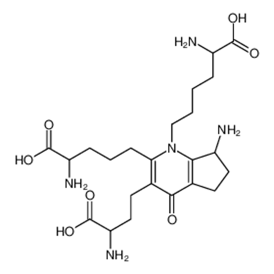 Picture of 2-amino-6-[7-amino-2-(4-amino-4-carboxybutyl)-3-(3-amino-3-carboxypropyl)-4-oxo-6,7-dihydro-5H-cyclopenta[b]pyridin-1-yl]hexanoic acid