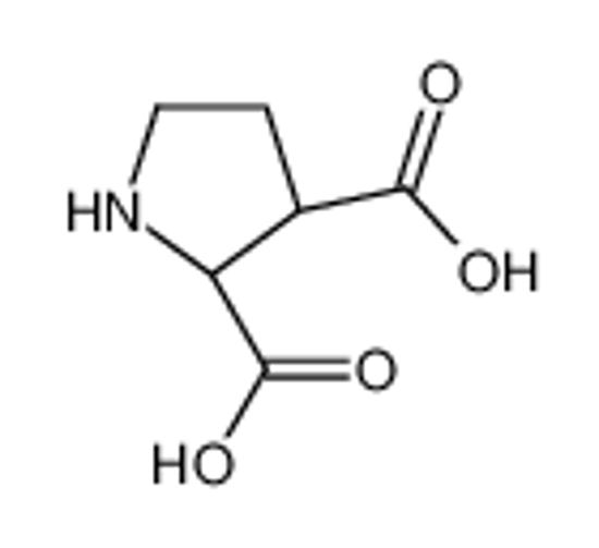 Picture of (2R,3R)-pyrrolidine-2,3-dicarboxylic acid