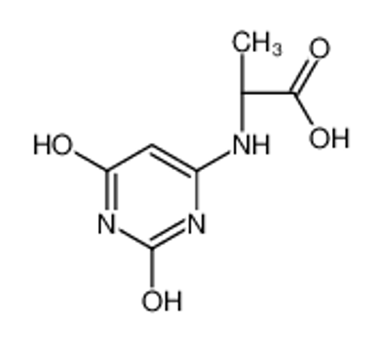 Picture of (2S)-2-[(2,4-dioxo-1H-pyrimidin-6-yl)amino]propanoic acid