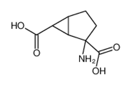 Picture of (1R,2R,5S,6R)-2-aminobicyclo[3.1.0]hexane-2,6-dicarboxylic acid