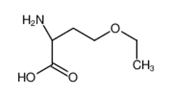 Picture of (2S)-2-amino-4-ethoxybutanoic acid
