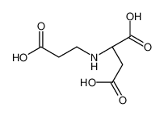 Picture of (2R)-2-(2-carboxyethylamino)butanedioic acid
