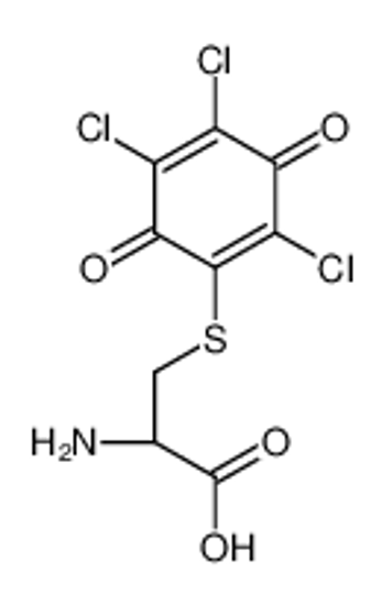 Picture of (2R)-2-amino-3-(2,4,5-trichloro-3,6-dioxocyclohexa-1,4-dien-1-yl)sulfanylpropanoic acid