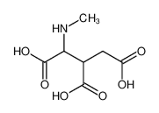 Picture of 1-(methylamino)propane-1,2,3-tricarboxylic acid