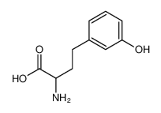 Picture of 2-amino-4-(3-hydroxyphenyl)butanoic acid