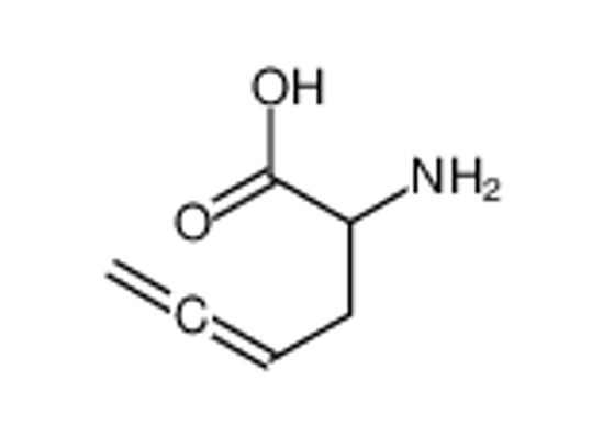 Picture of 2-aminohexa-4,5-dienoic acid