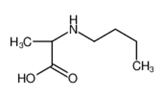 Picture of (2S)-2-(butylamino)propanoic acid