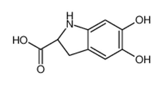 Picture of leucodopachrome