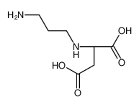 Изображение (2S)-2-(3-aminopropylamino)butanedioic acid