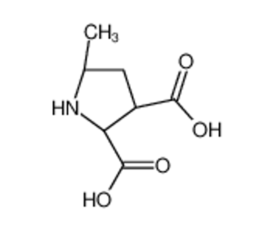 Изображение (2S,3S,5S)-5-methylpyrrolidine-2,3-dicarboxylic acid